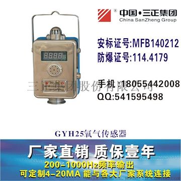 GYH25礦用氧氣傳感器GYH25G管道用氧氣傳感器